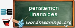 WordMeaning blackboard for penstemon linarioides